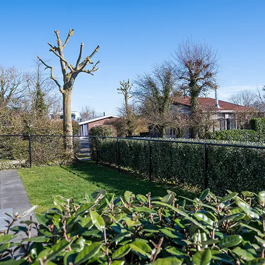 Vakantiehuis huren met hond in zoutelande zeeland dichtbij strand 002