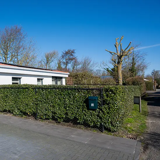 Vakantiehuis huren met hond in zoutelande zeeland dichtbij strand 003